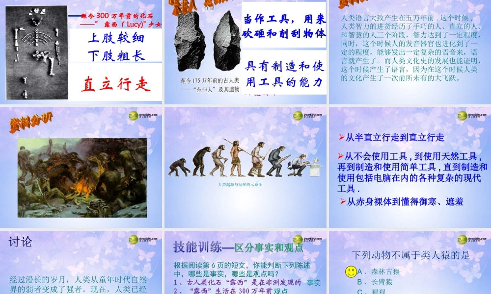八年级生物上册 第一章 人类的起源和发展课件 鲁科版 课件
