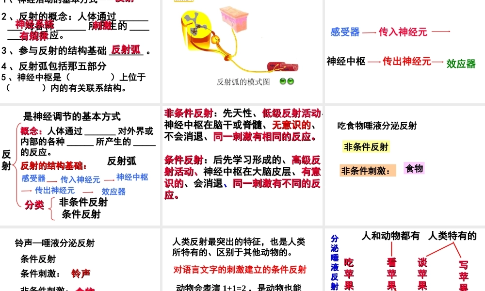七年级生物神经系统与神经调节1课件