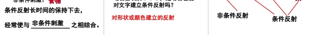 七年级生物神经系统与神经调节1课件