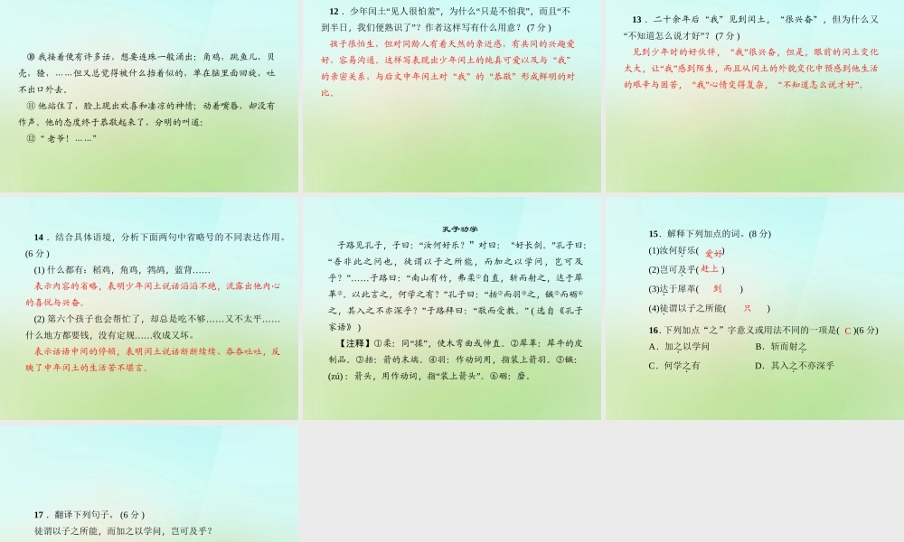 九年级语文上册 5孔乙己习题课件 语文版 课件