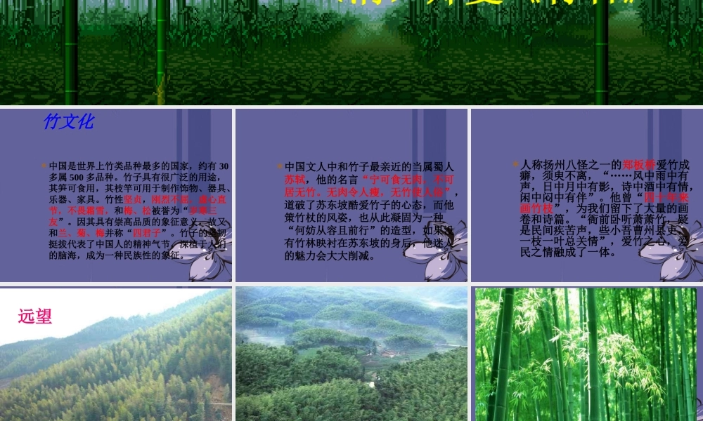 七年级语文上册(竹林深处人家)课件 语文版 课件