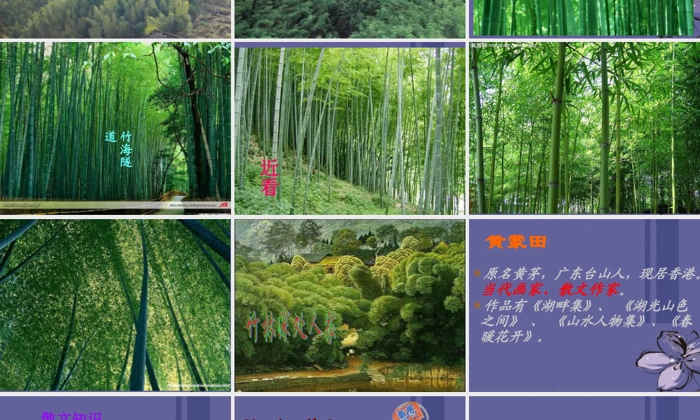 七年级语文上册(竹林深处人家)课件 语文版 课件