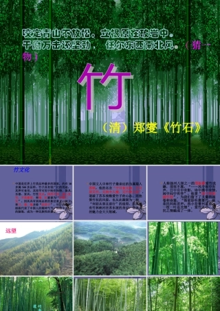 七年级语文上册(竹林深处人家)课件 语文版 课件