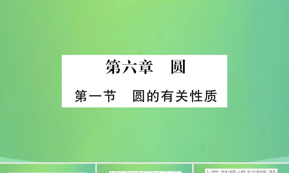 中考数学复习 第一轮 考点系统复习 第六章 圆 第一节 圆的有关性质(精练)课件