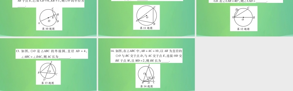 中考数学复习 第一轮 考点系统复习 第六章 圆 第一节 圆的有关性质(精练)课件