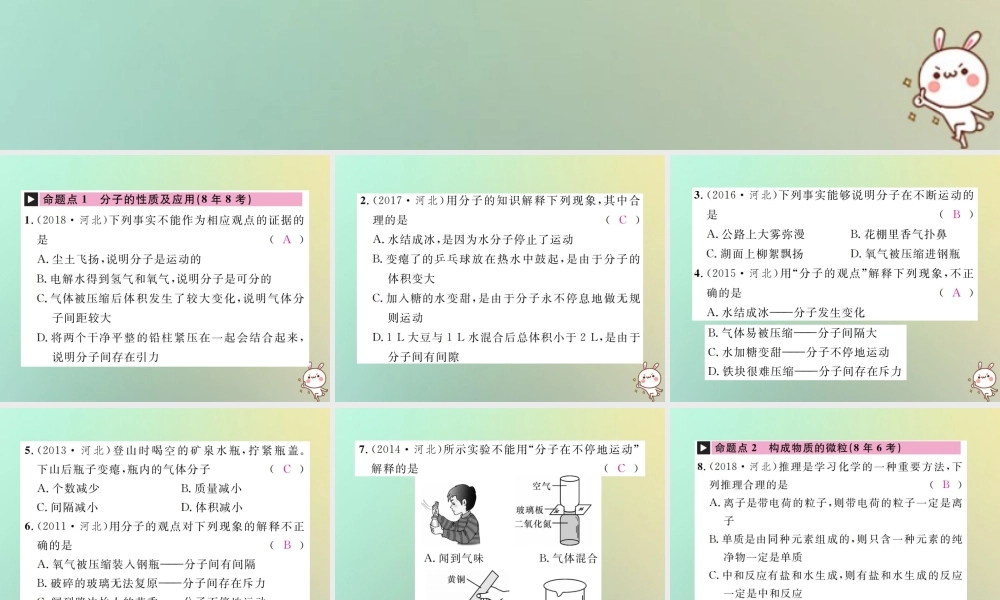 中考化学复习 主题二 物质构成的奥秘 第10讲 构成物质的微粒 元素课件