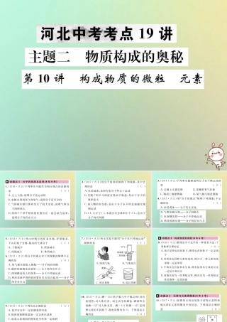 中考化学复习 主题二 物质构成的奥秘 第10讲 构成物质的微粒 元素课件