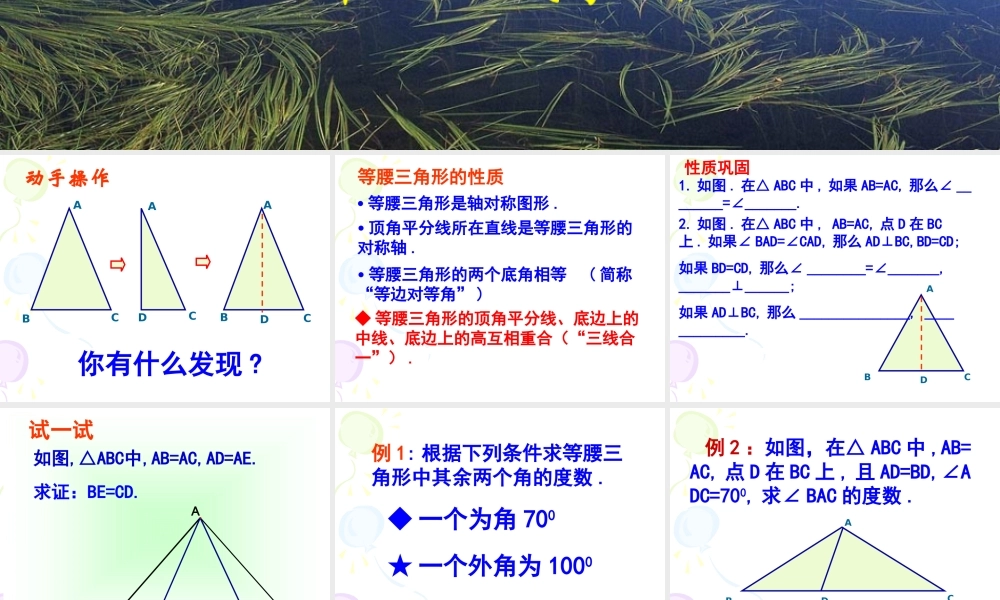 八年级数学 等腰三角形的课件2 ppt 课件