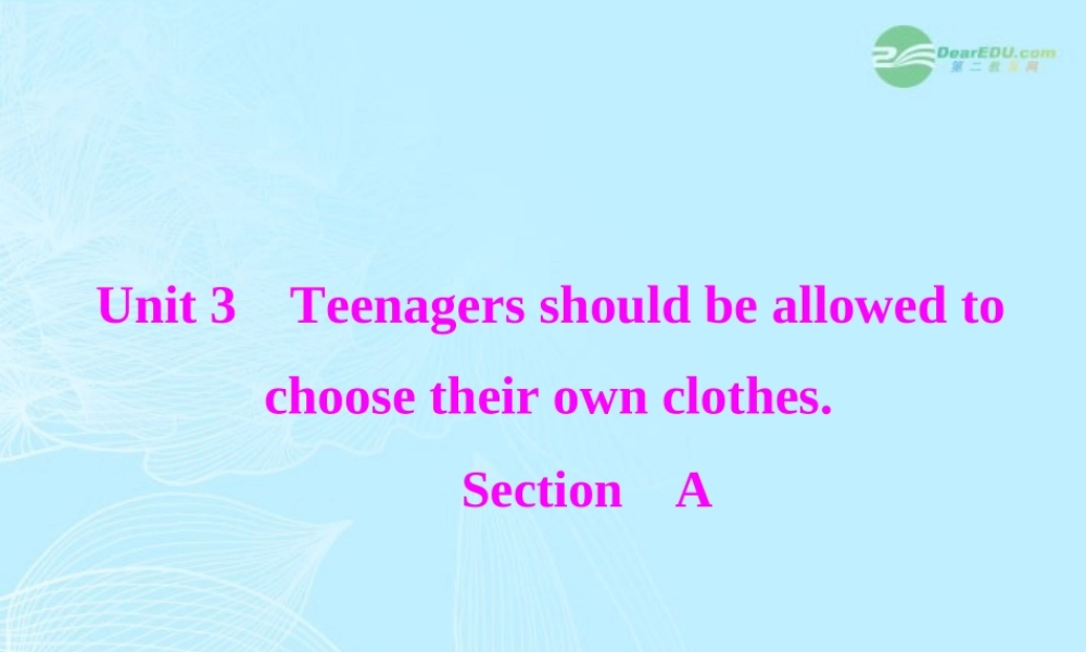 九年级英语上册 Unit3(Teenagesshouldbeallowedtochoosetheirownclothes)SectionA课件 人教新目标版 课件