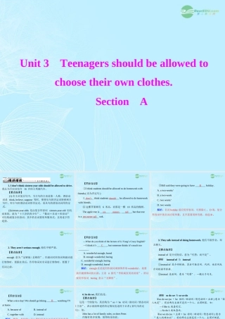 九年级英语上册 Unit3(Teenagesshouldbeallowedtochoosetheirownclothes)SectionA课件 人教新目标版 课件
