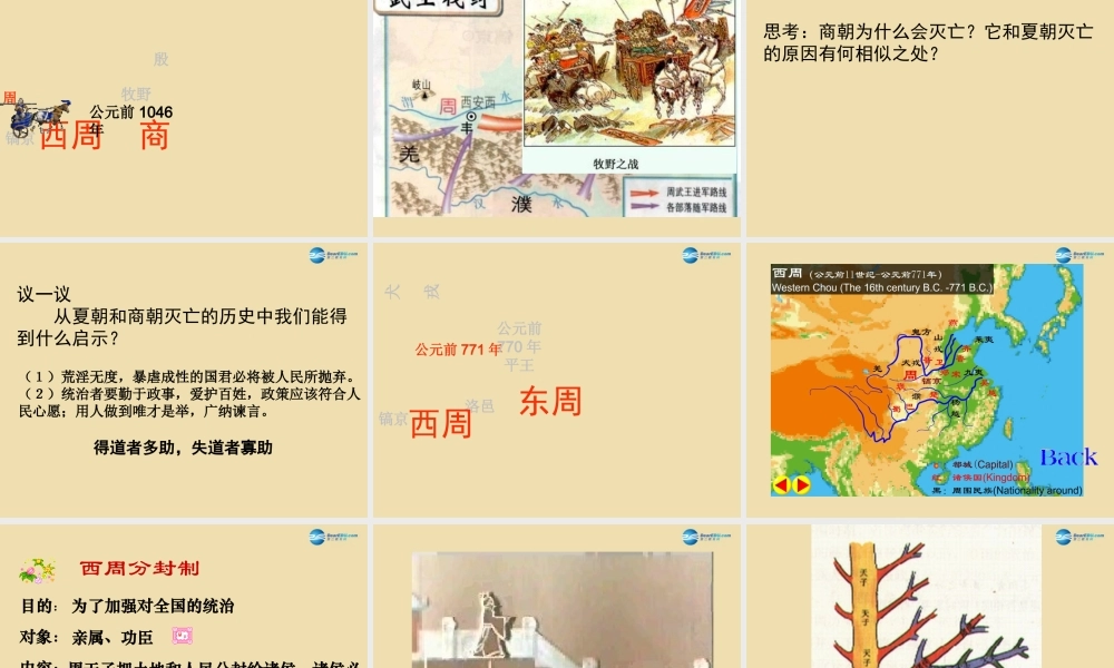 中考历史(夏商周的更迭)复习课件2 课件