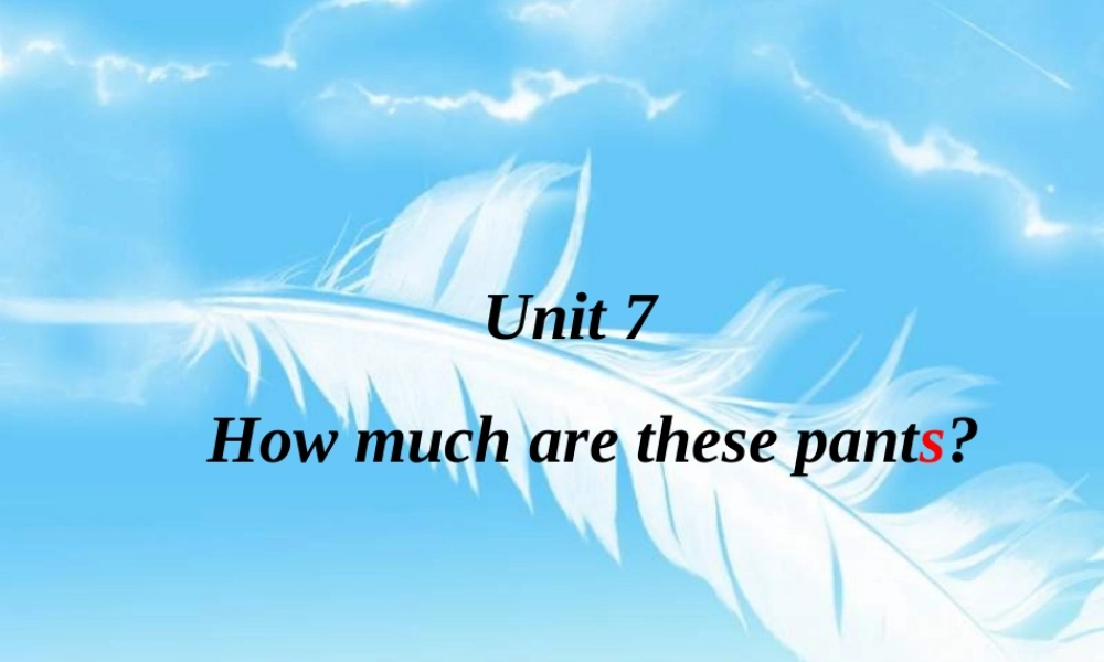 七年级英语上册 Unit 7全单元how much are these pants课件 人教新目标版 课件