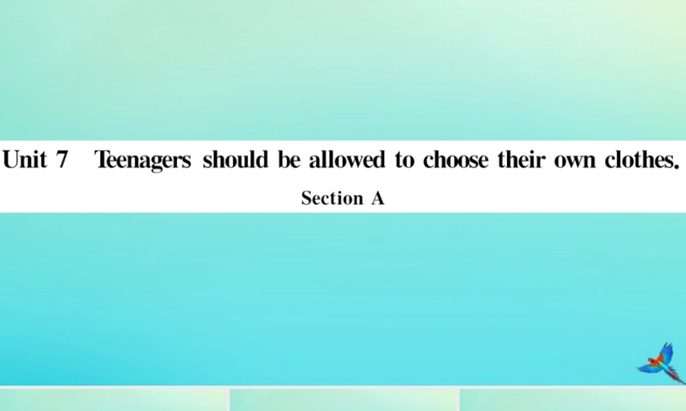 九年级英语全册 Unit 7 Teenagers should be allowed to choose their own clothes Section A习题课件 (新版)人教新目标版 课件