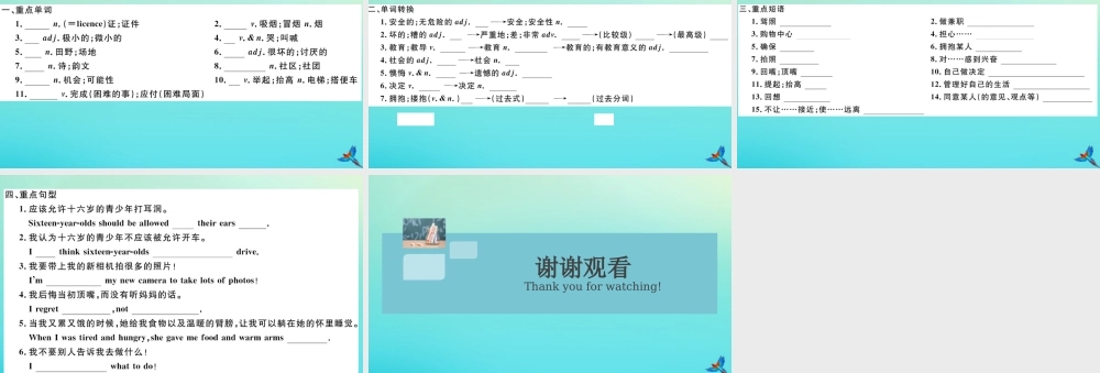 九年级英语全册 Unit 7 Teenagers should be allowed to choose their own clothes Section A习题课件 (新版)人教新目标版 课件
