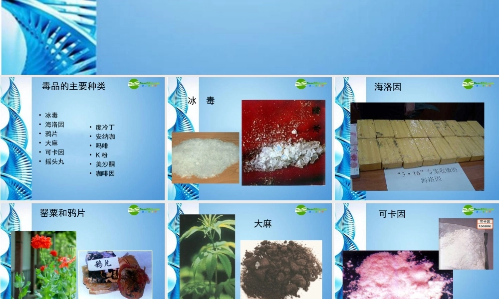 八年级生物下册 关注自己的健康课件 苏科版 课件