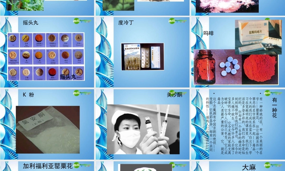 八年级生物下册 关注自己的健康课件 苏科版 课件