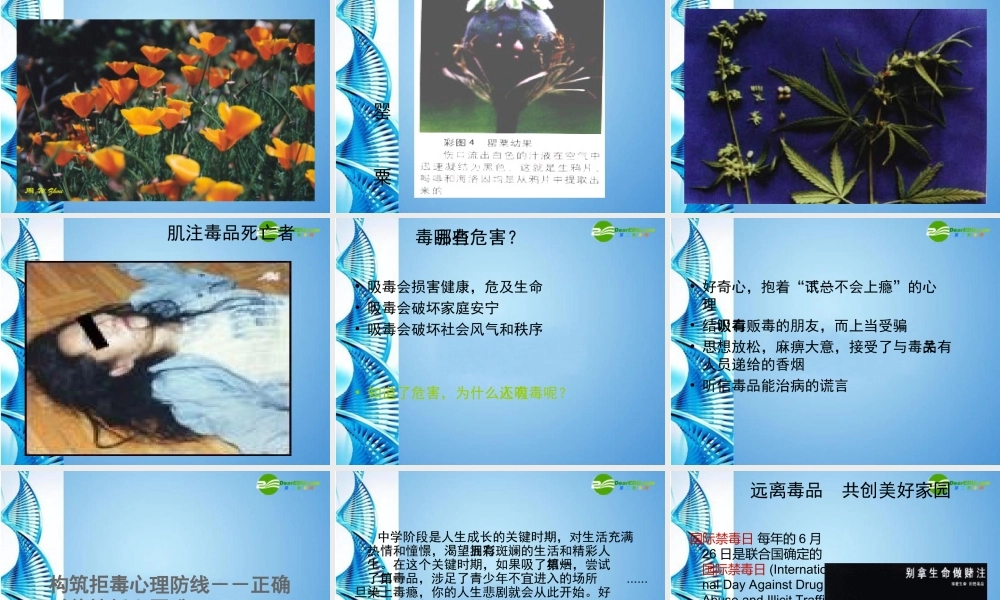 八年级生物下册 关注自己的健康课件 苏科版 课件