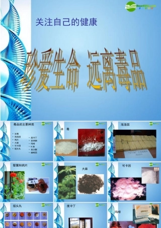 八年级生物下册 关注自己的健康课件 苏科版 课件