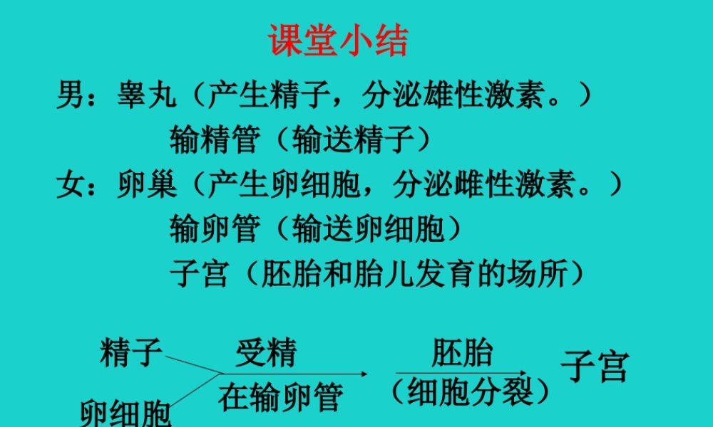 八年级生物上册 第四单元 第三章 第一节 婴儿的诞生 婴儿的诞生(课堂小结)课件 (新版)济南版 课件
