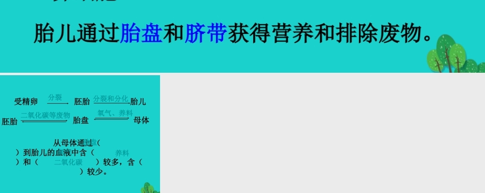 八年级生物上册 第四单元 第三章 第一节 婴儿的诞生 婴儿的诞生(课堂小结)课件 (新版)济南版 课件