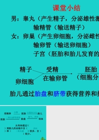 八年级生物上册 第四单元 第三章 第一节 婴儿的诞生 婴儿的诞生(课堂小结)课件 (新版)济南版 课件
