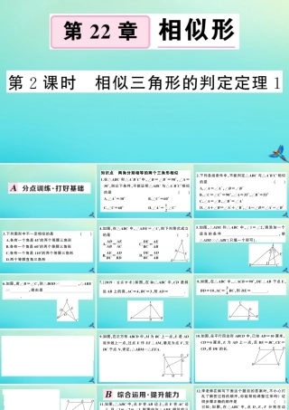 九年级数学上册 第22章 相似形 222 相似三角形的判定 第2课时 相似三角形的判定定理1作业课件 (新版)沪科版 课件