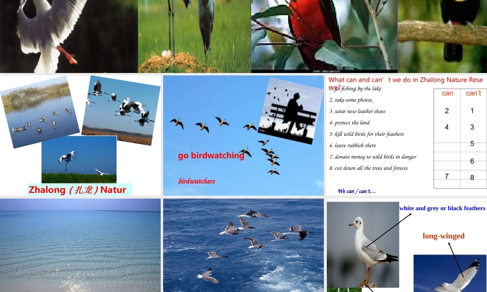 八年级英语 Unit5 课件