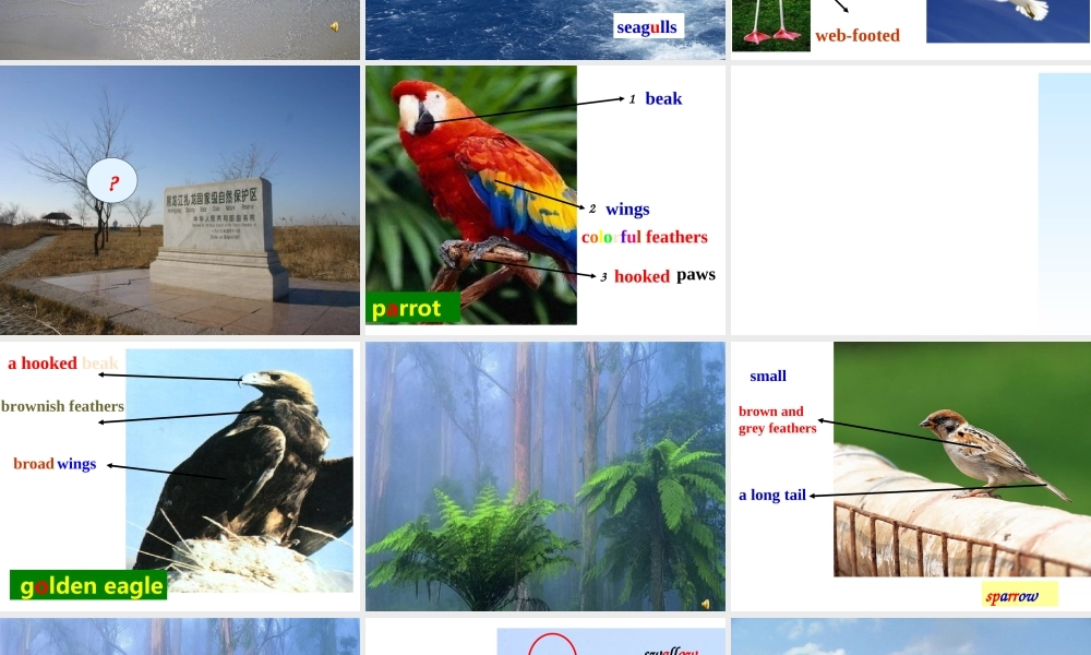 八年级英语 Unit5 课件