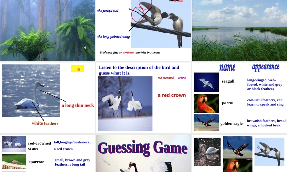 八年级英语 Unit5 课件