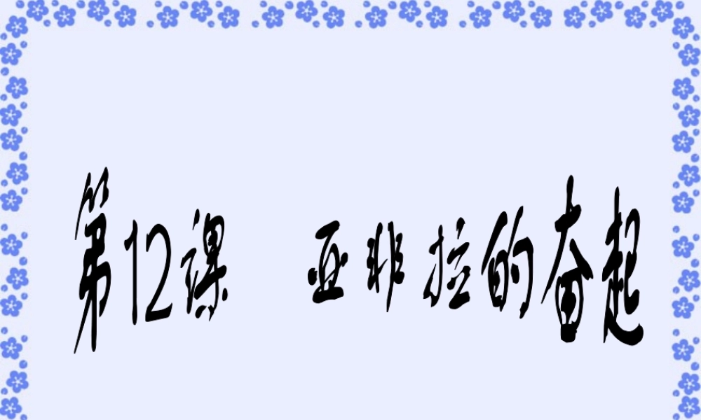 九年级历史亚非拉的奋起课件示例 课件
