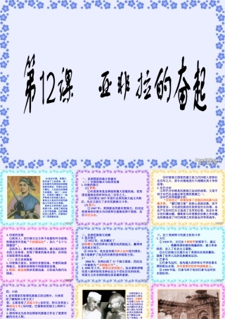九年级历史亚非拉的奋起课件示例 课件