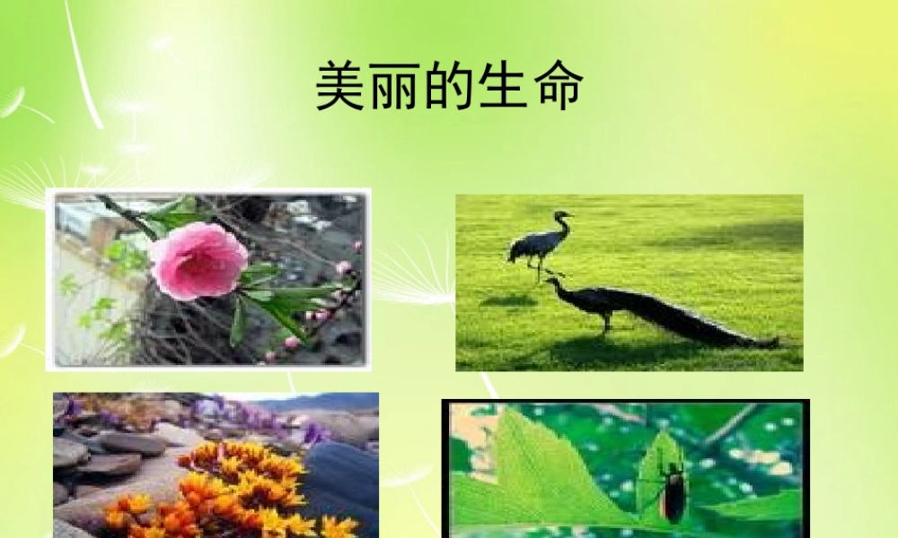 中学七年级语文上册 18 短文两篇课件 (新版)新人教版 课件