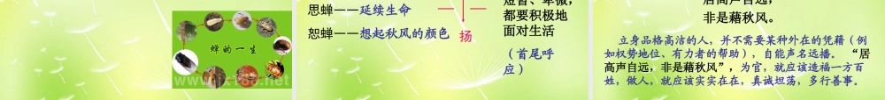 中学七年级语文上册 18 短文两篇课件 (新版)新人教版 课件