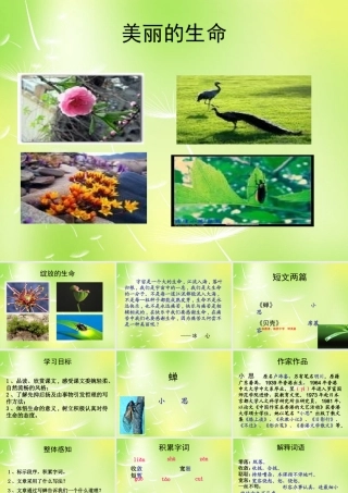 中学七年级语文上册 18 短文两篇课件 (新版)新人教版 课件