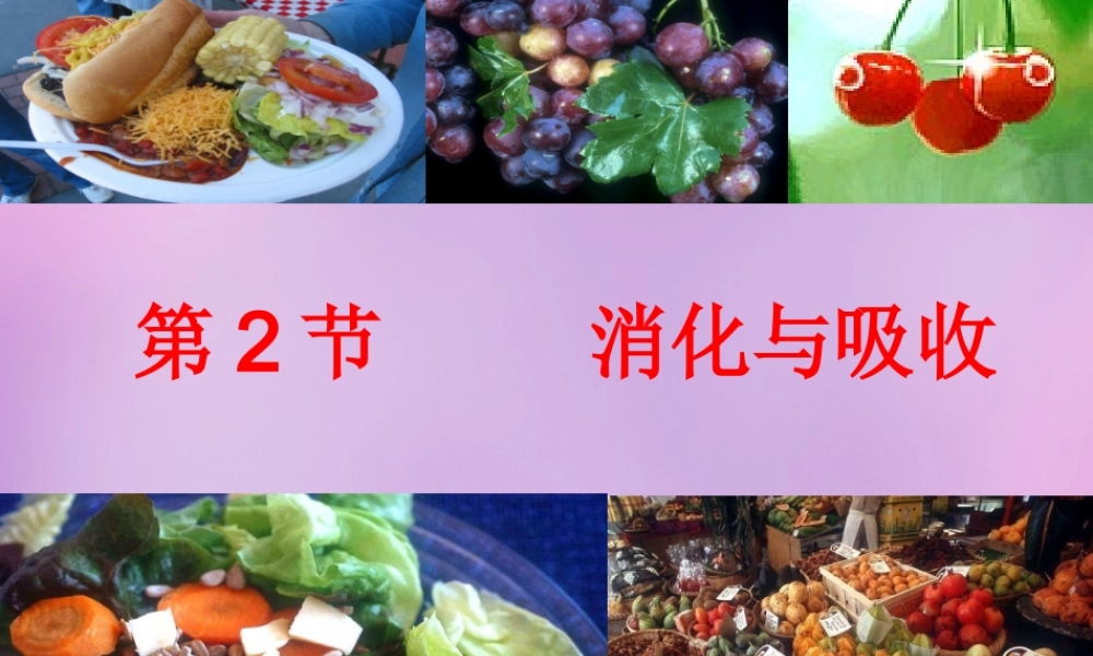 中学七年级生物下册 2.2 消化和吸收课件2 新人教版 课件