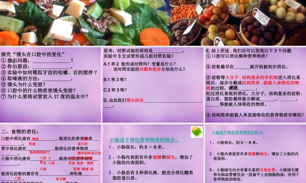 中学七年级生物下册 2.2 消化和吸收课件2 新人教版 课件