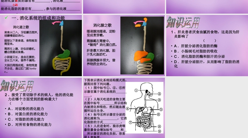 中学七年级生物下册 2.2 消化和吸收课件2 新人教版 课件