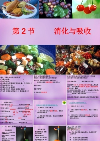 中学七年级生物下册 2.2 消化和吸收课件2 新人教版 课件