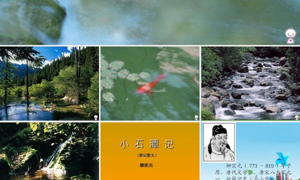 八年级语文上册 (小石潭记)课件 人教新课标版 课件