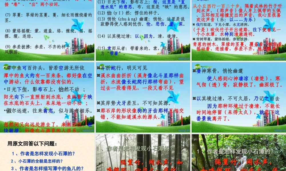 八年级语文上册 (小石潭记)课件 人教新课标版 课件