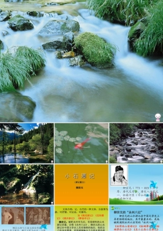 八年级语文上册 (小石潭记)课件 人教新课标版 课件