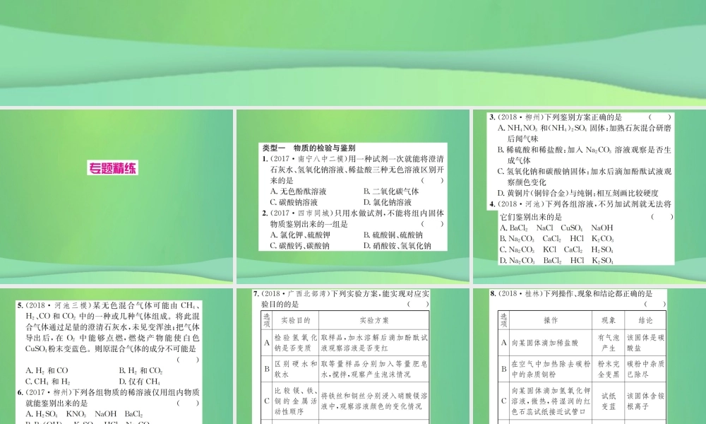 中考化学总复习 滚动小专题(六)物质的检验、鉴别、共存与除杂课件
