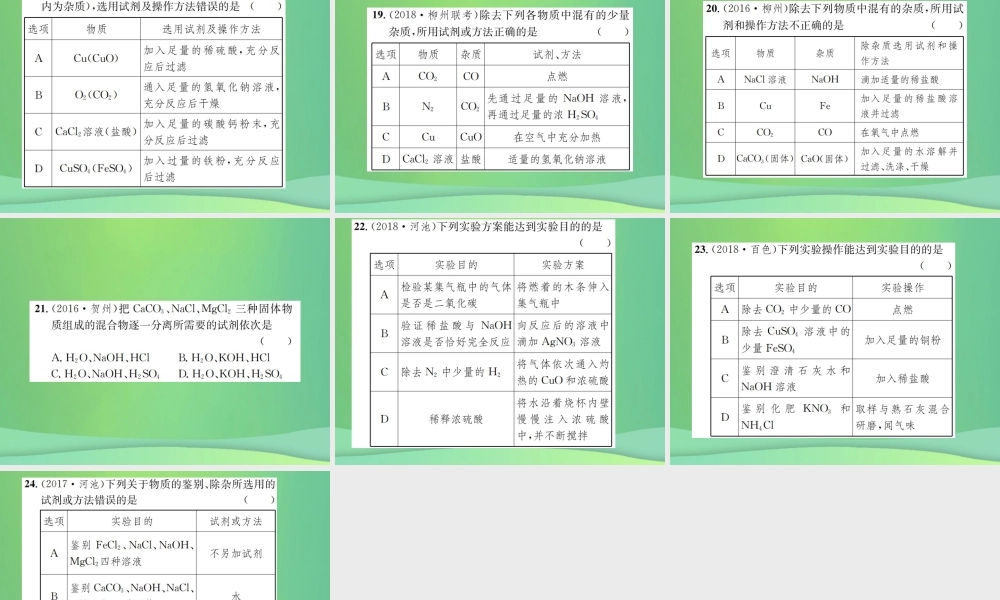 中考化学总复习 滚动小专题(六)物质的检验、鉴别、共存与除杂课件