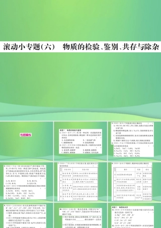 中考化学总复习 滚动小专题(六)物质的检验、鉴别、共存与除杂课件