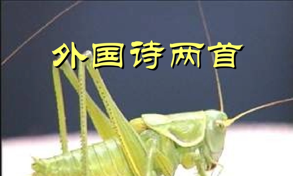 九年级语文上册 14(外国诗两首)课件 鲁教版 课件