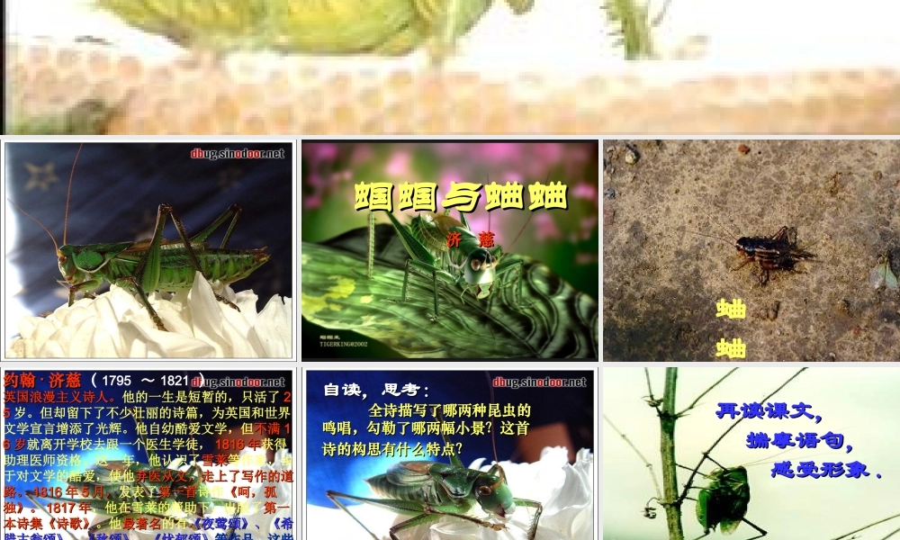 九年级语文上册 14(外国诗两首)课件 鲁教版 课件