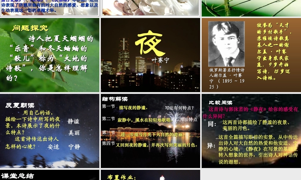 九年级语文上册 14(外国诗两首)课件 鲁教版 课件