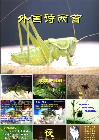 九年级语文上册 14(外国诗两首)课件 鲁教版 课件