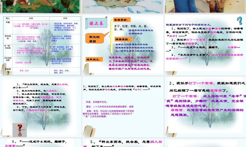八年级语文上册 第1课(故乡)课件2 冀教版 课件