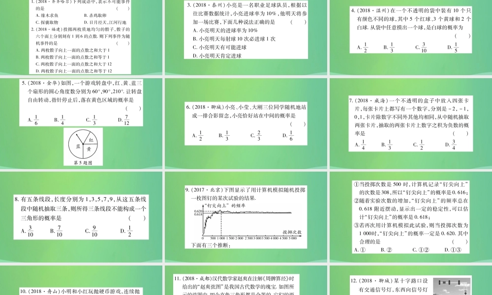 中考数学复习 第一轮 考点系统复习 第八章 统计与概率 第二节 概率(精练)课件